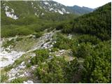 Planina Ravne - Kocbekov dom na Korošici